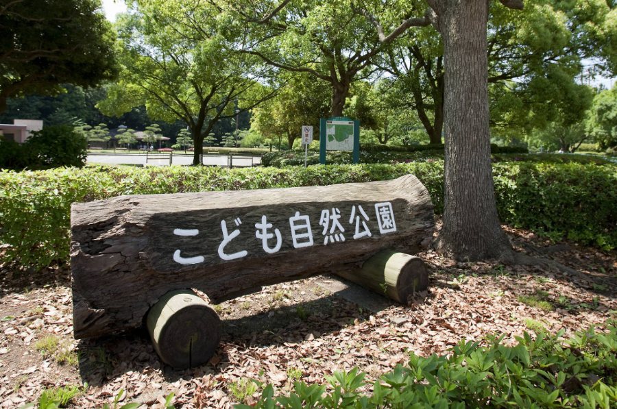親睦会BBQ✨